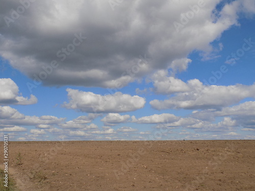 Beautiful summer landscape. Wide steppe  high blue sky with snow-white clouds. Space and freedom.