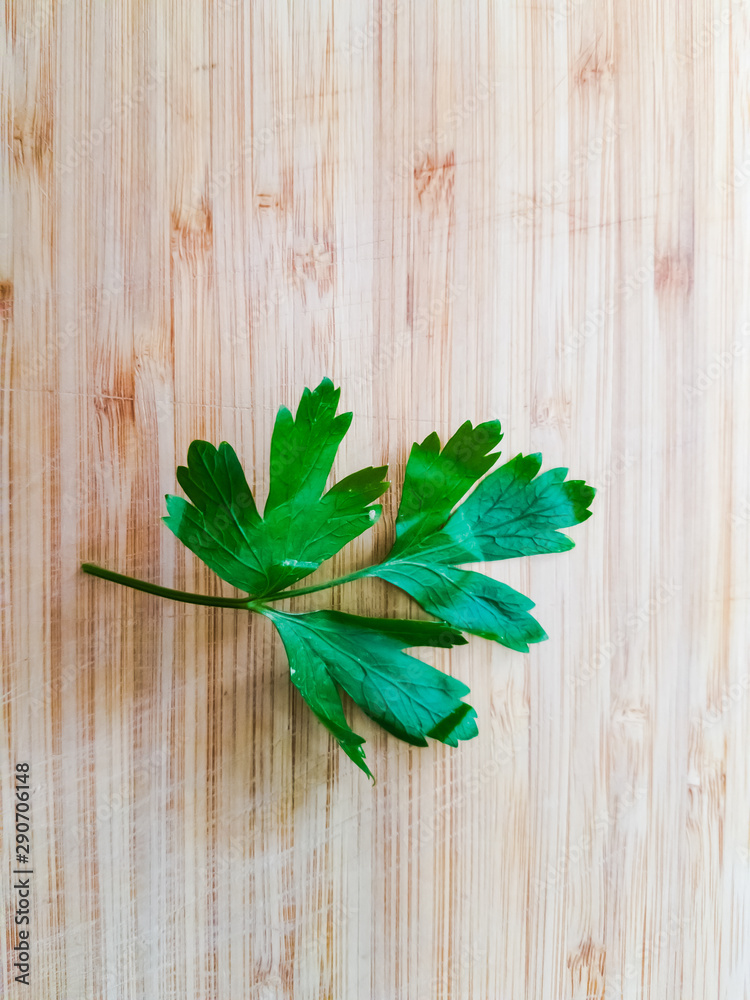 A piece of parsley lies on a wooden cutting board A piece of parsley lies on a wooden cutting board