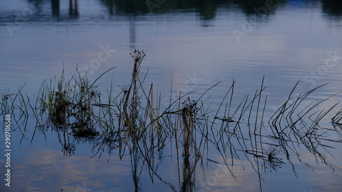  Sunset on the river. Dusk. Reflection in water. Water surface