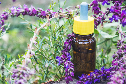 Essential oil in a glass bottle and fresh lavender flowers on a background of nature. Tincture or essential oil with lavender. herbal medicine.