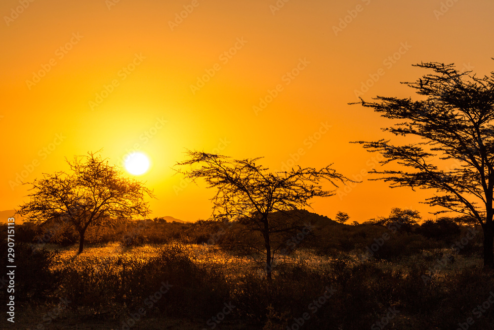 Golden sunset in Namibia, Namib Naukluft Park