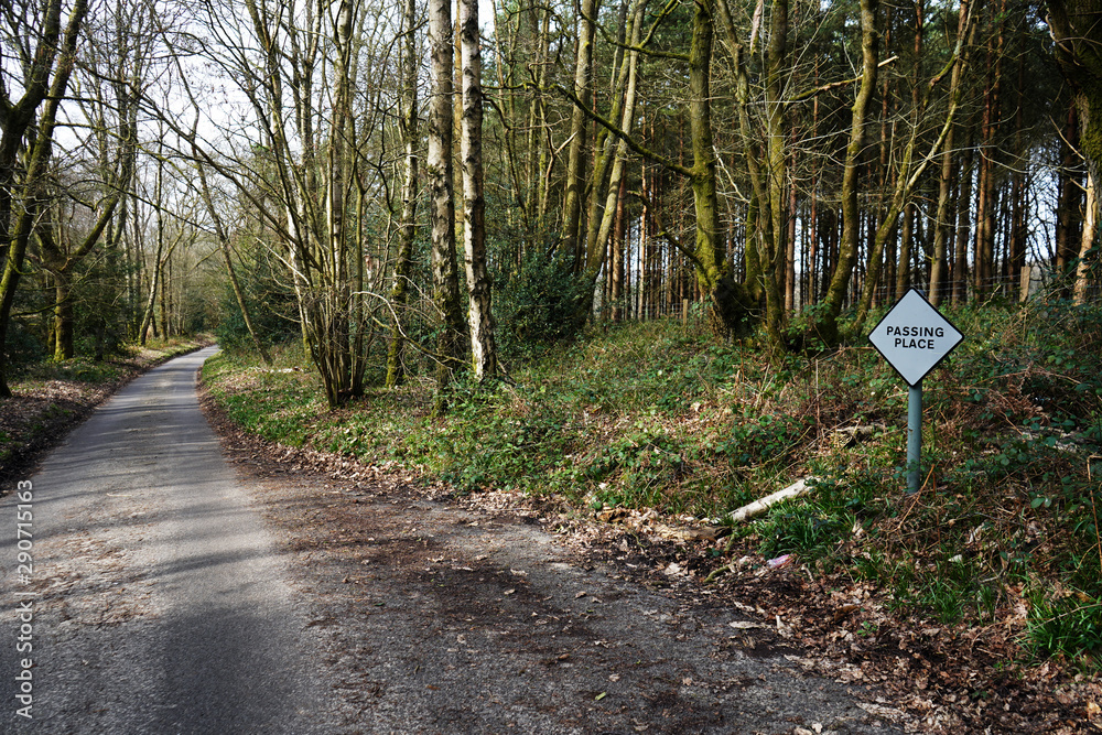 White passing place sign down a country road White passing place sign down a country road