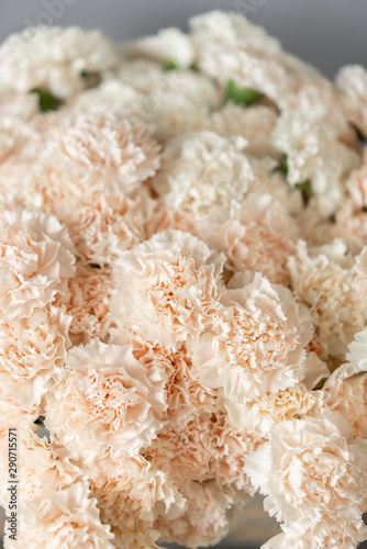 Bouquet of carnation flowers white pale pink color. Spring background. Clove bunch present for Mothers Day.