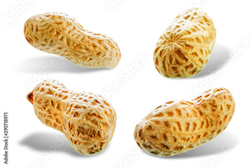 Wallpaper Mural Peanut on a white isolated background Torontodigital.ca