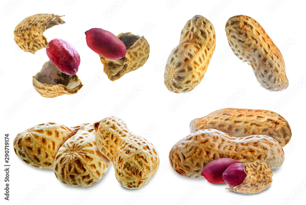 custom made wallpaper toronto digitalPeanut on a white isolated background