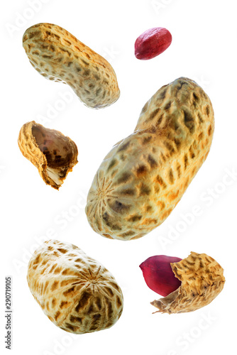 Wallpaper Mural Peanut on a white isolated background Torontodigital.ca