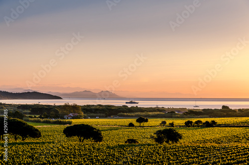 Ramatuelle St-Tropez