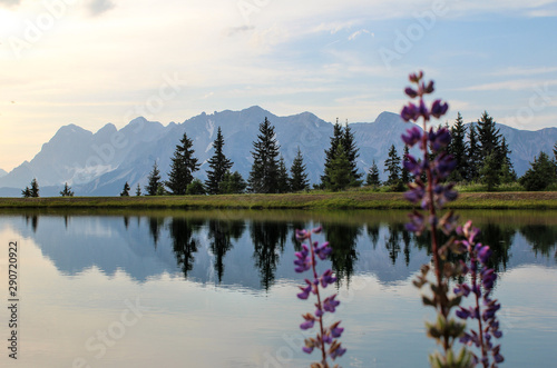 Bergsee