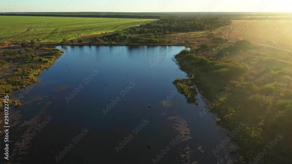 Aerial over a calm swamp in the countryside at sunset. Aerial over a calm swamp in the countryside at sunset.
