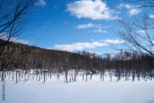 hokkaido Japan