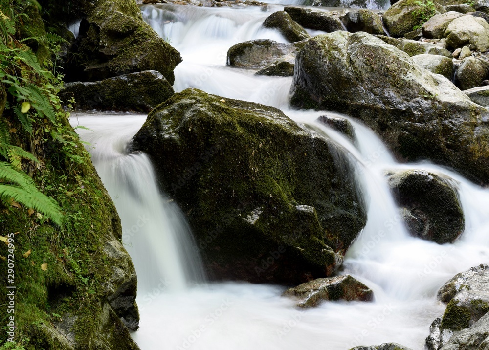 Fototapeta premium waterfall in forest