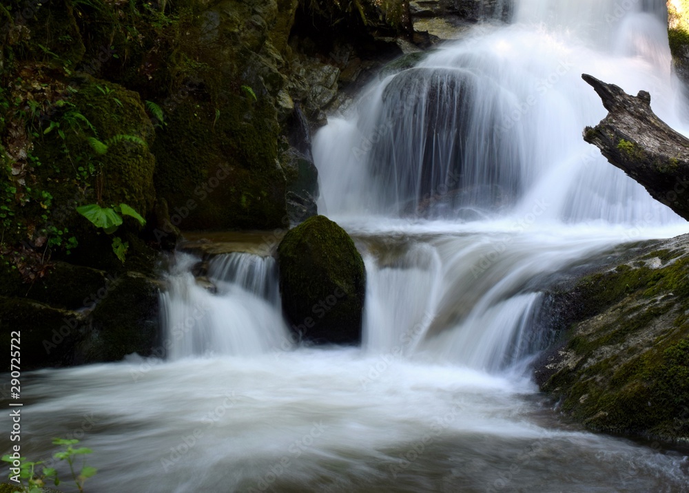 waterfall in forest