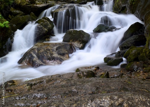 waterfall in forest