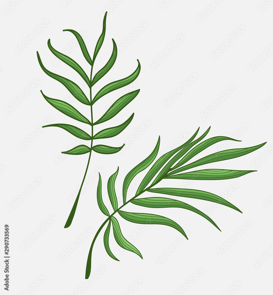 branch with green leaves branch with green leaves