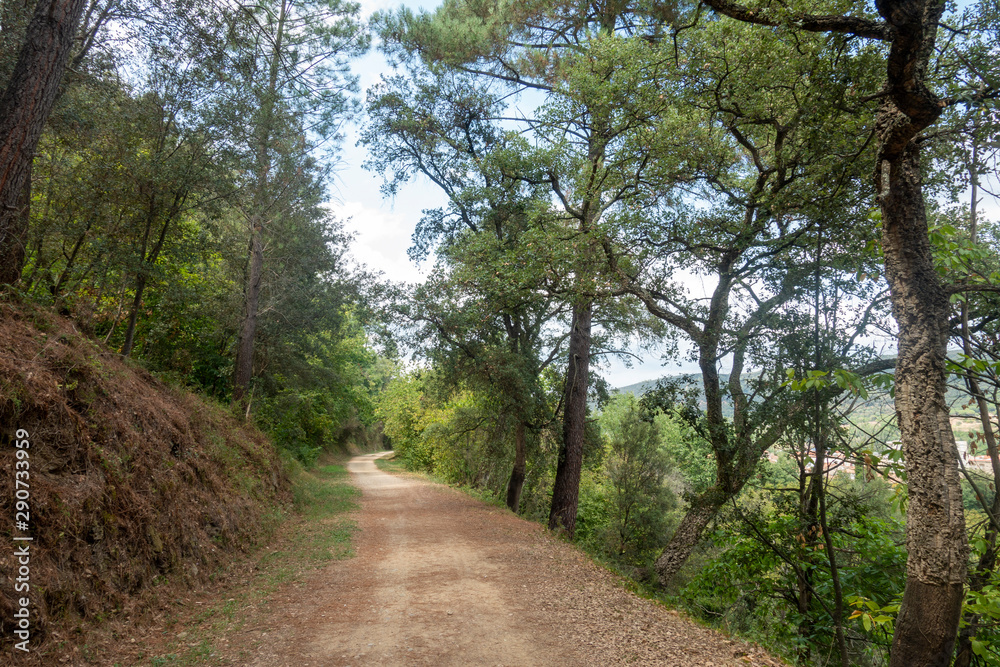 The green way of the carrilet path of Olot The green way of the carrilet path of Olot