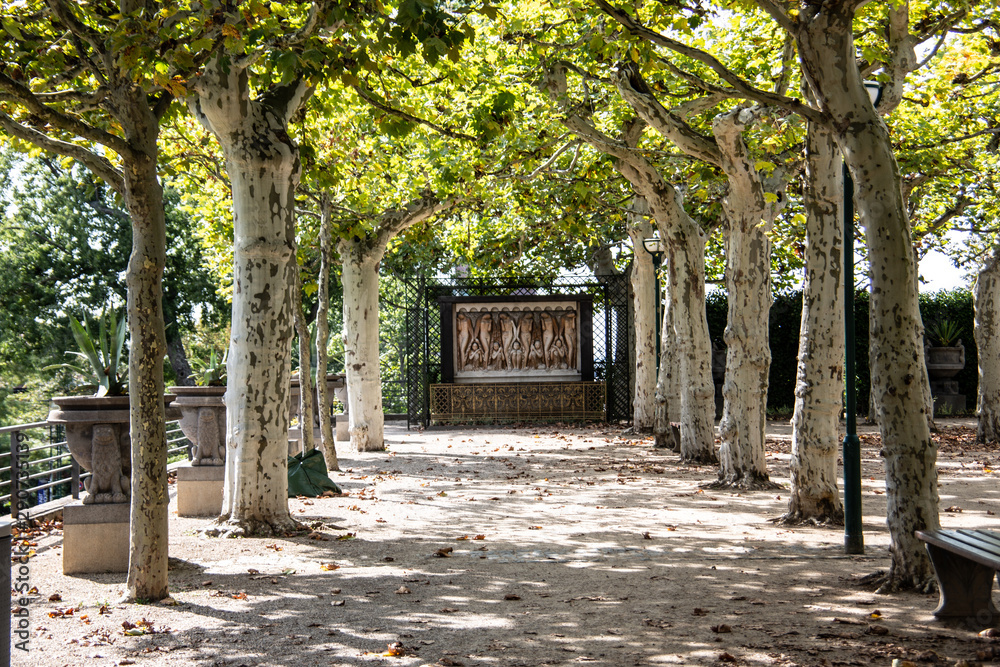 Ein Park in Darmstadt mit Bäumen als Allee