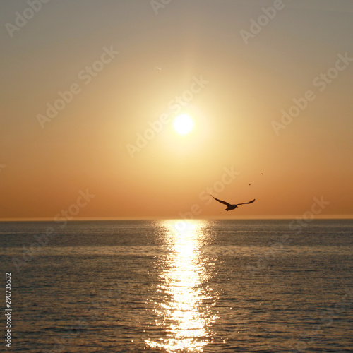 Sonnenuntergang am Meer mit einer fliegenden Möwe.