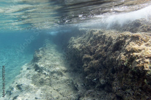 Underwater view of Cape Kamenjak, Istria, Croatia