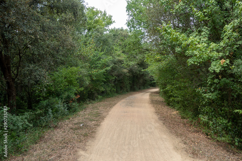 The green way of the carrilet path of Olot photo