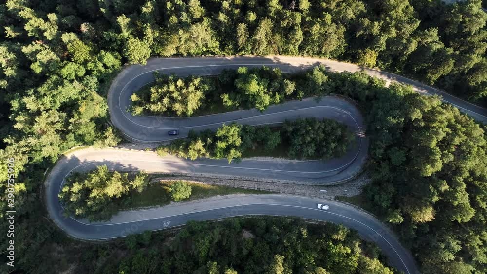 A mountain road through a wild forest from above looks like a snake A mountain road through a wild forest from above looks like a snake