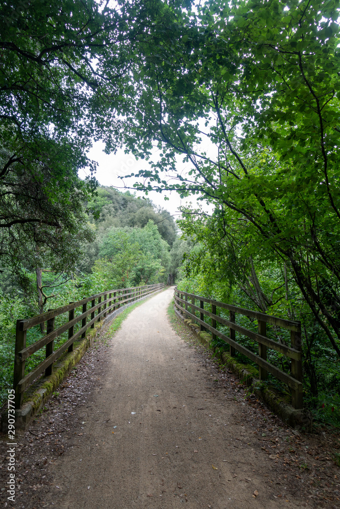 The green way of the carrilet path of Olot The green way of the carrilet path of Olot