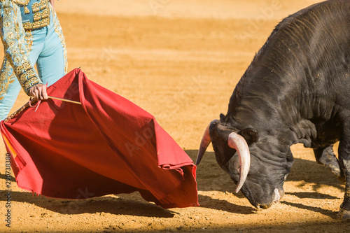 The Spanish Bullfighter bullfighting with the crutch in the Bullring of Baeza, Spain