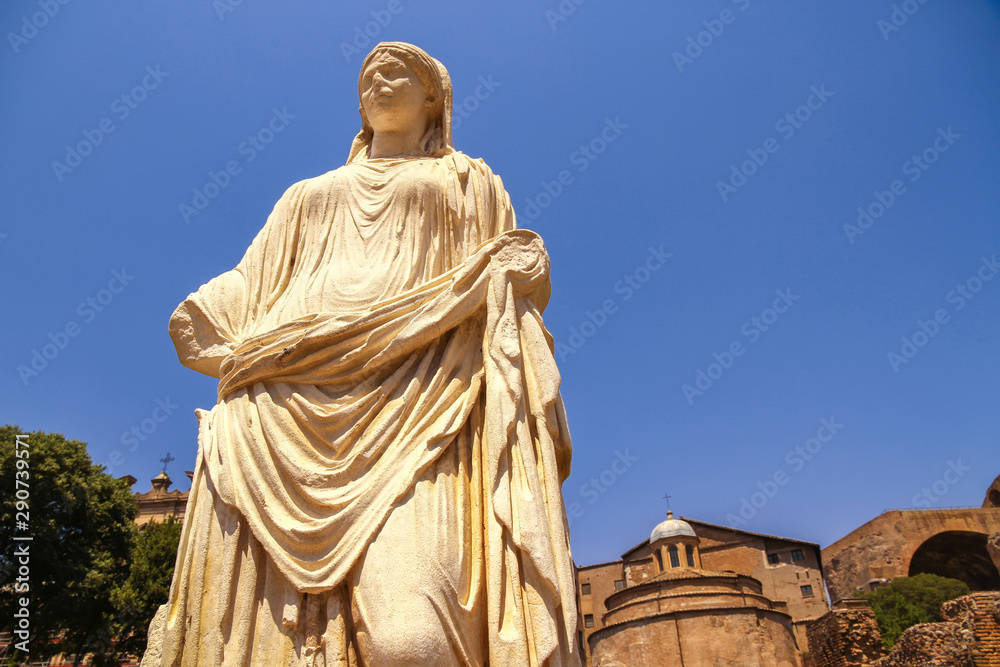 Fototapeta premium View on a historic statue in Rome