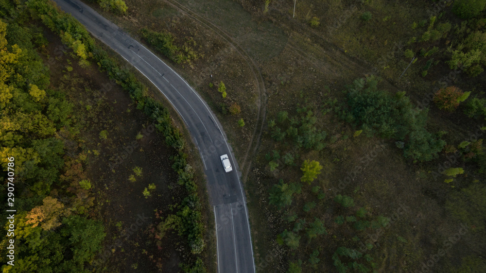 Green forest and many trees from a height.