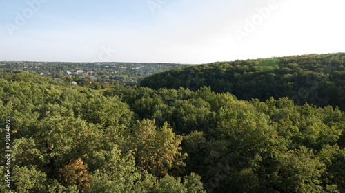 Green forest and many trees from a height.