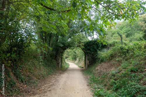 The green way of the carrilet path of Olot photo