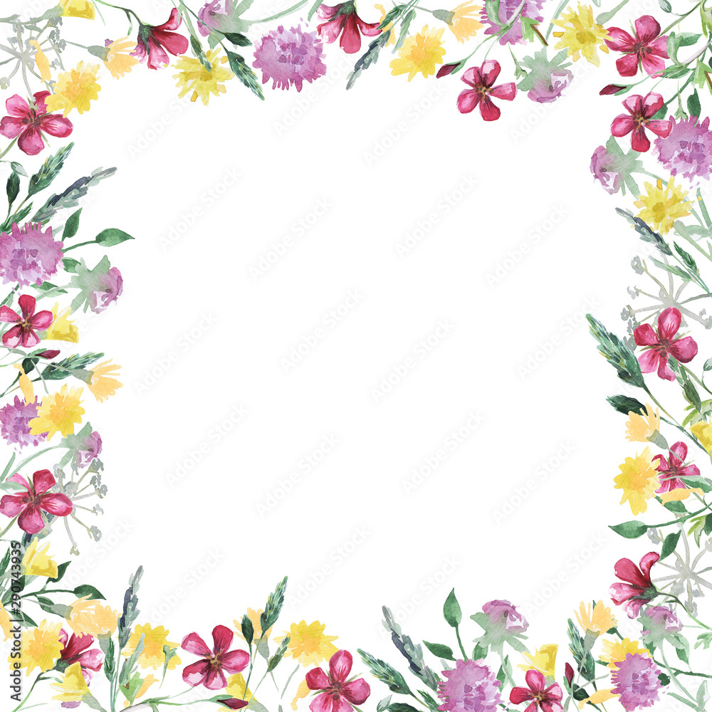 Watercolor frame with wildflower, herbs, leaf. collection garden, wild foliage, flowers, branches. illustration isolated on white background. Watercolor frame with wildflower, herbs, leaf. collection garden, wild foliage, flowers, branches. illustration isolated on white background.