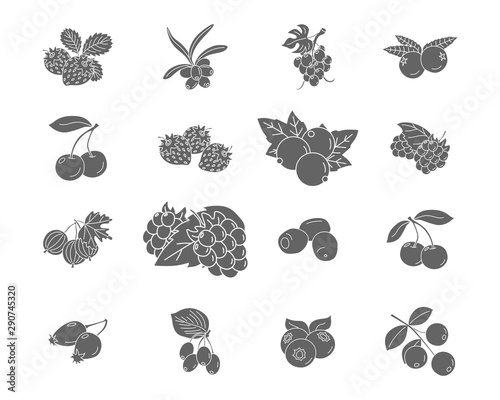Berry Icons set - Vector black solid silhouettes of strawberry, raspberry, cherry, blueberry, cloudberry, dogrose and cranberry for the site or interface