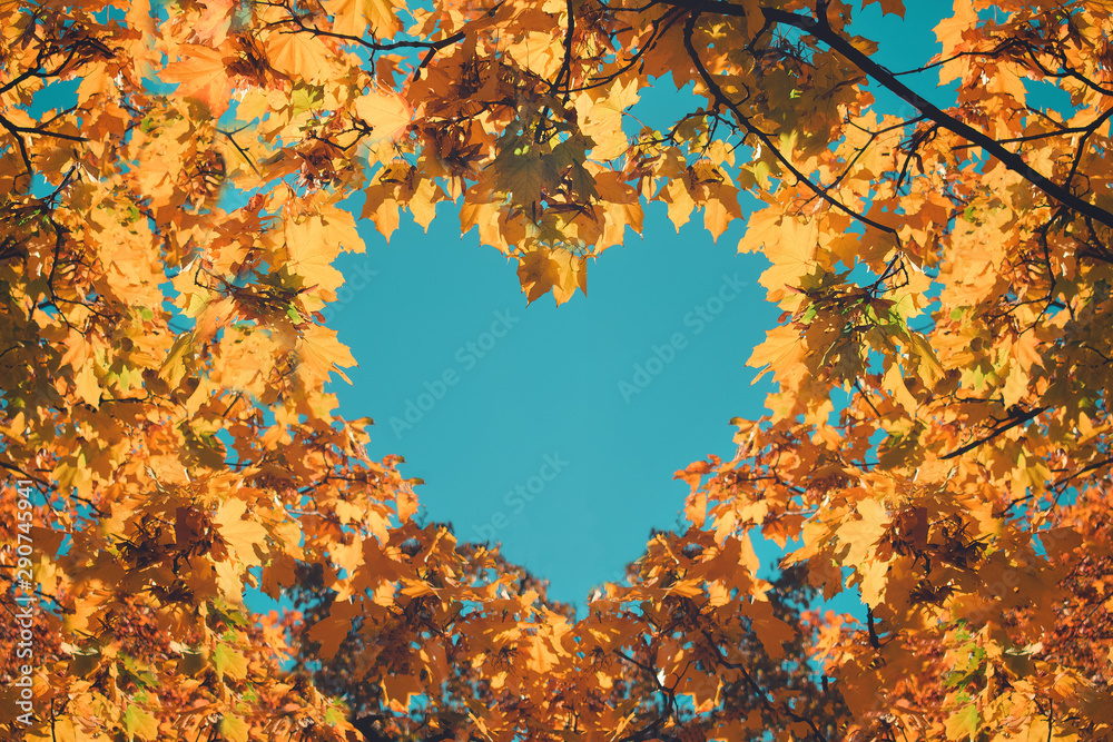 Lá vàng cam - Màu vàng và cam của những chiếc lá đang lan tỏa khắp nơi trong mùa thu này. Hãy cùng xem những hình ảnh đầy sức sống này và cảm nhận sự mát mắt và tràn đầy năng lượng của mùa thu.