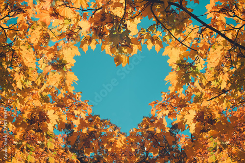 Autumn fall love background. Orange and yellow leaves in heart shape of background of blue sky. Heart-shaped sky through autumn trees in the park