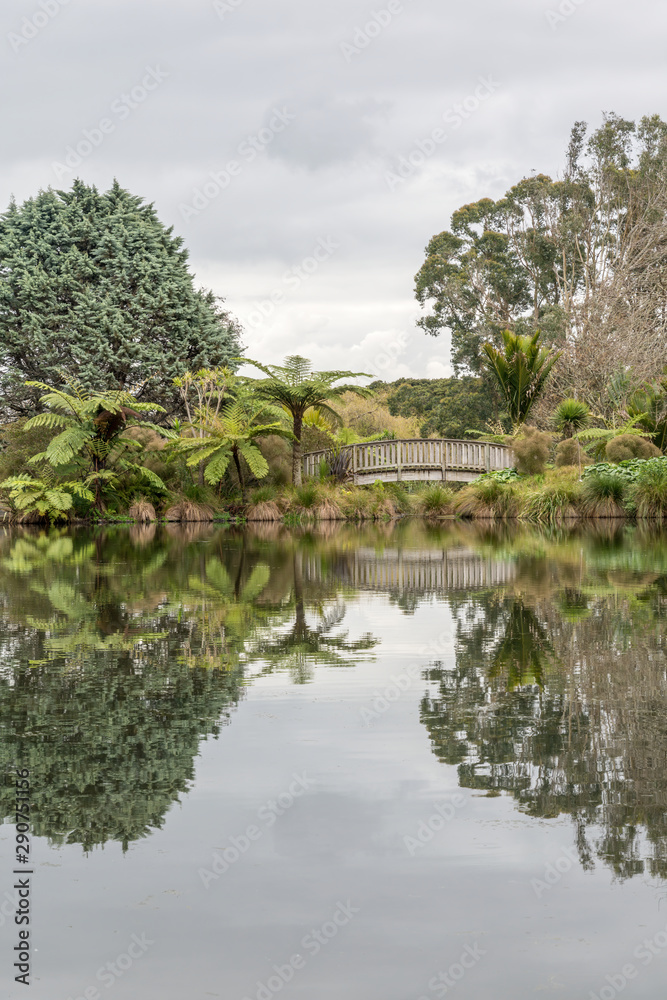 View of trees and low clouds reflecting in mirror like water surface of pond in garden
