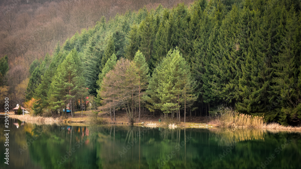 Green forest reflection by the lake