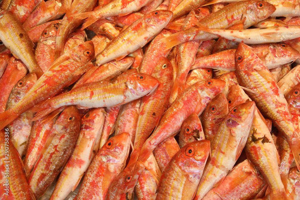 Mullets on sale in a sicilian fish market Mullets on sale in a sicilian fish market