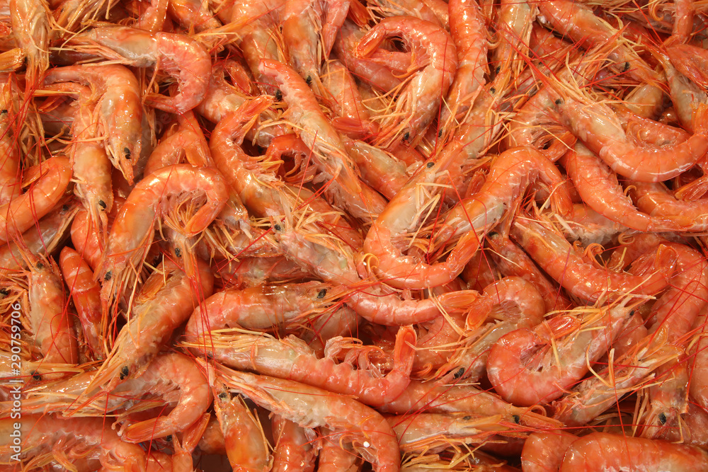 Shrimps on sale in a sicilian fish market Shrimps on sale in a sicilian fish market