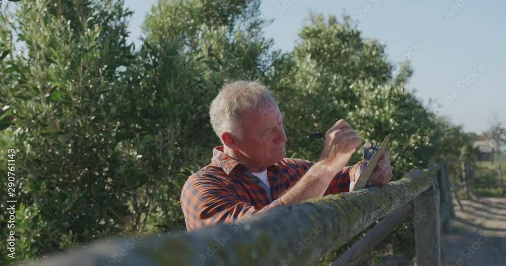 Mature man working on farm Mature man working on farm