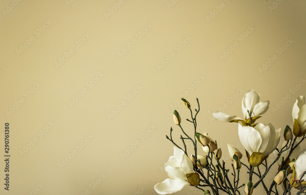 Magnolia flowers composition on the right down corner on delicate beige background. Flat lay, free space