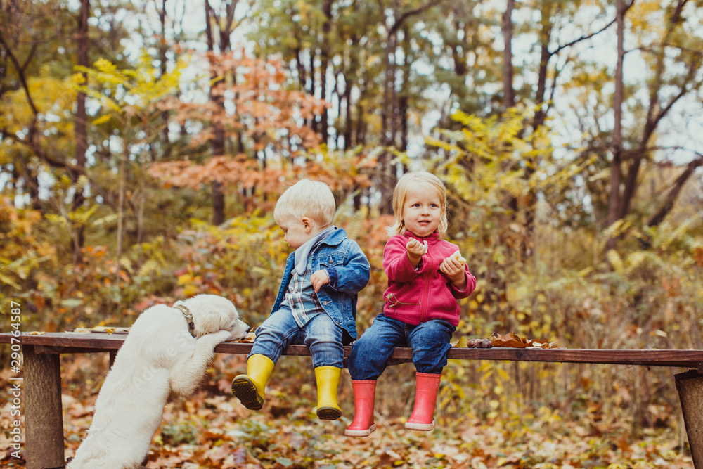 Fototapeta premium Babies and doggy in the autumn park