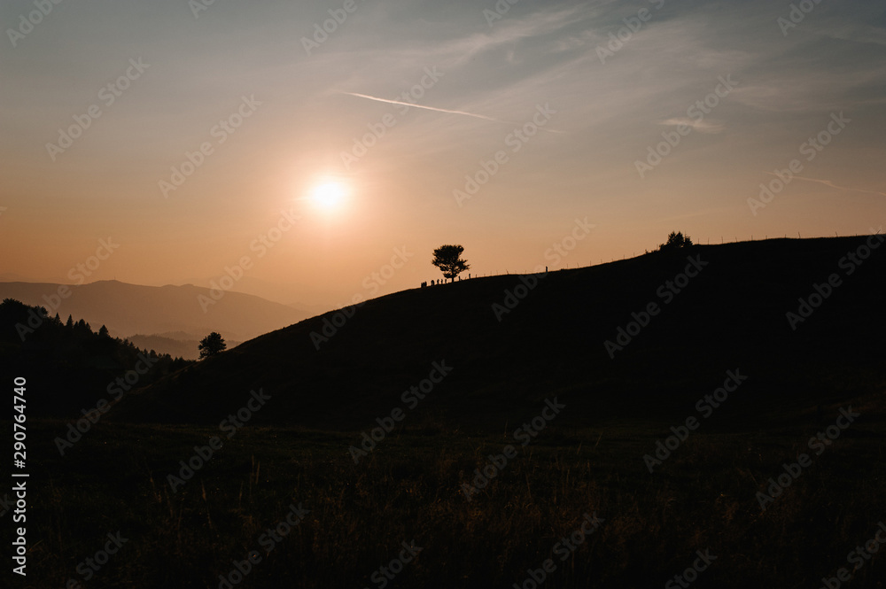 Mountains and sunset Carpathians, Ukraine. mist ledge of a mountain, beautiful sunset over a wide  valley. On the horizon, one tree. The sky line of aircraft.