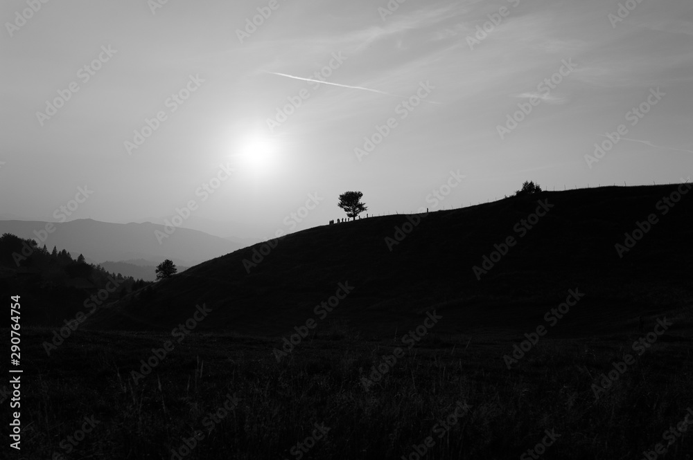 Mountains and sunset Carpathians, Ukraine. mist ledge of a mountain, beautiful sunset over a wide valley. On the horizon, one tree. The sky line of aircraft. Black and white photo. Mountains and sunset Carpathians, Ukraine. mist ledge of a mountain, beautiful sunset over a wide valley. On the horizon, one tree. The sky line of aircraft. Black and white photo.