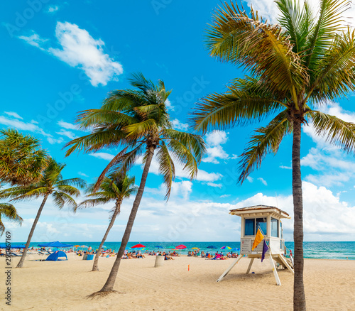 Fototapeta Naklejka Na Ścianę i Meble -  Golden sand and coconut palm trees in Fort Lauderdale shore