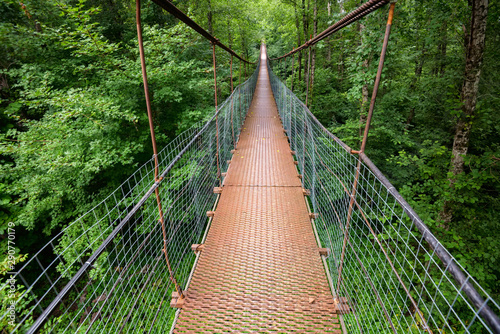 Narrow metal foot bridge across green forest in summer