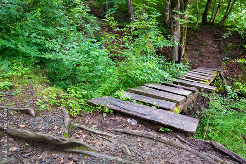 Small wooden bridge in green forest close