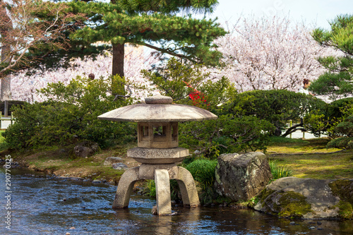 金沢の春 兼六園でお花見