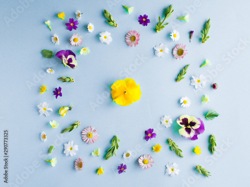 Spring flowers flat lay on the blue background