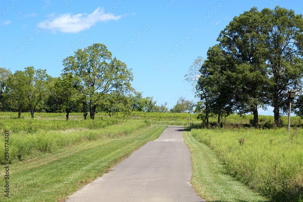 The long walkway in the park on a sunny day.