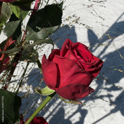 One beautiful red rose from the side with green leaves and grasses in a bouquet. There are shadows of the flowers on the stony background visible.